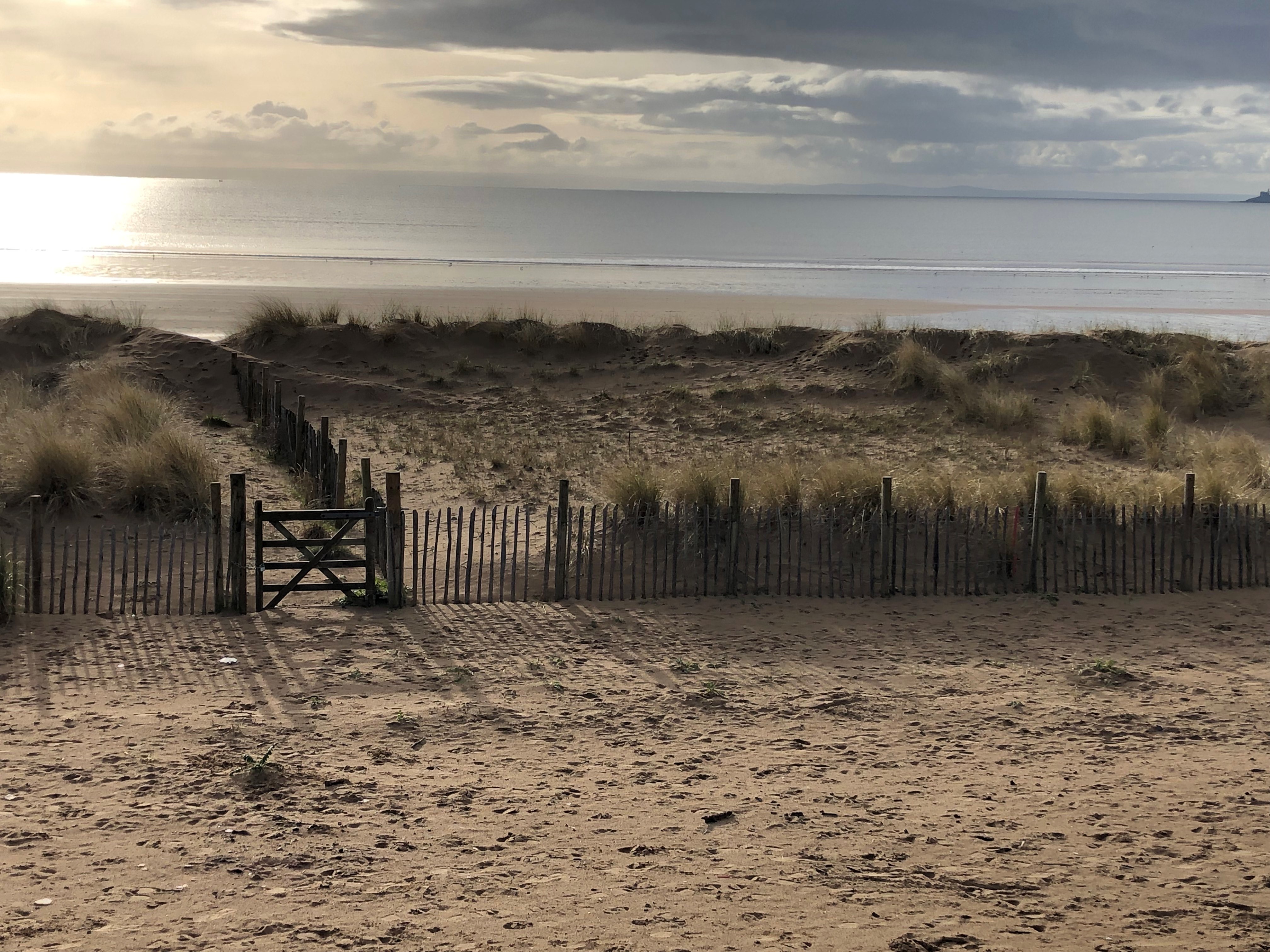 Beach scene near Swansea
